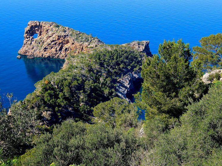 Corse